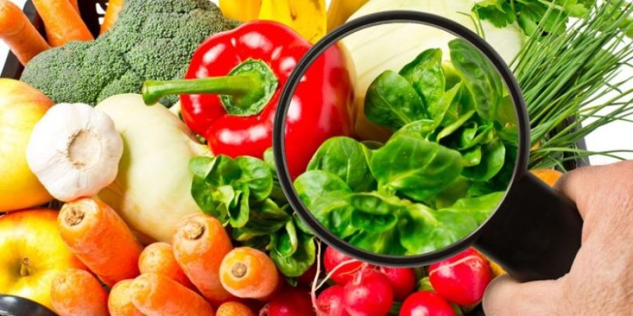 ¿Por qué es importante la inocuidad de los alimentos?
