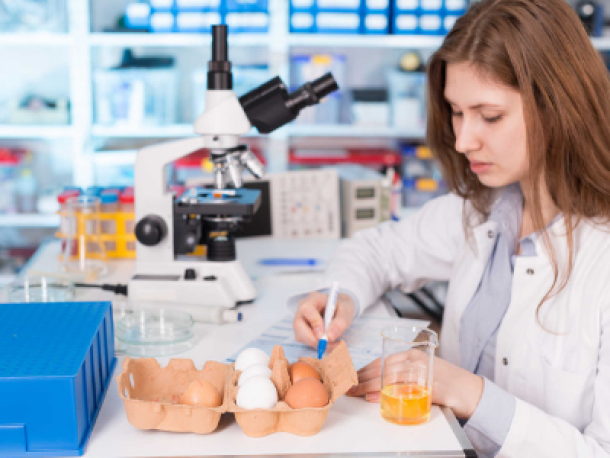 Food Quality - the missing bit in Africa's $1 trillion food industry opportunity