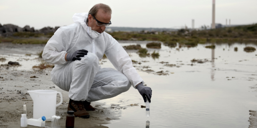 Los metales pesados y mi entorno