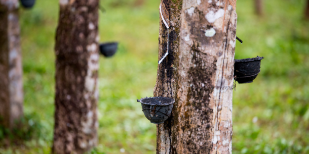 Análisis DRC en Hule