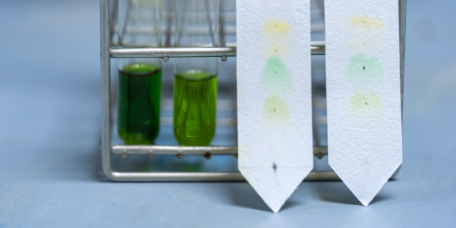 Descubriendo los Secretos de la Cromatografía: Todo lo que Necesitas Saber