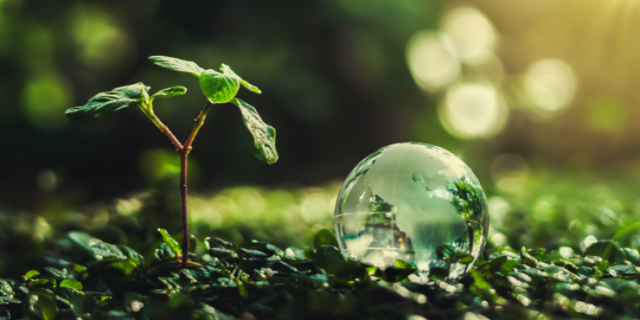 Objetivos de Desarrollo Sostenible: El tema de la seguridad Alimentaria