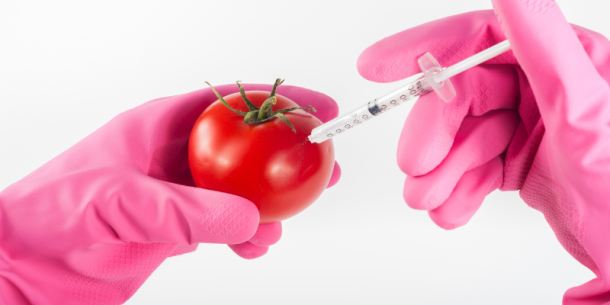 Detección de Organismos Genéticamente Modificados (OGM) autorizados/no autorizados