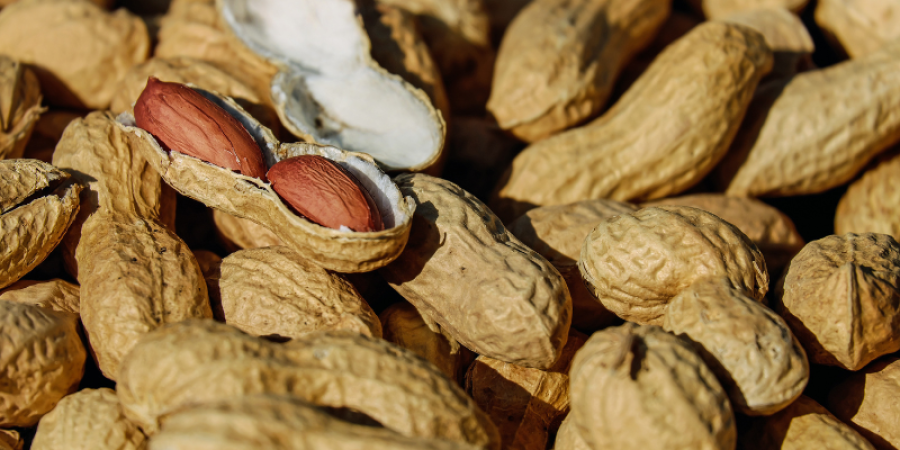Aflatoxinas en el Maní: Un Desafío para la Seguridad Alimentaria