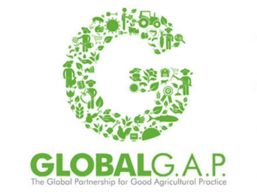 Estado de la certificación Global GAP en Latinoamérica