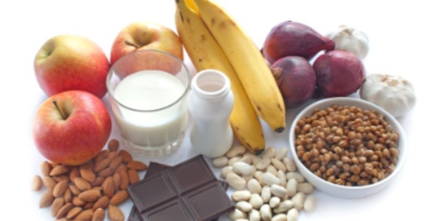 La importancia de los probióticos y prebióticos