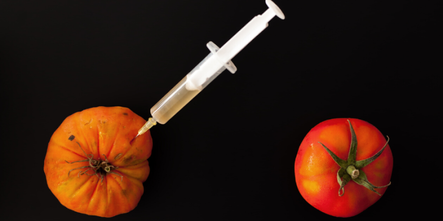 Mitos y realidades de los alimentos transgénicos