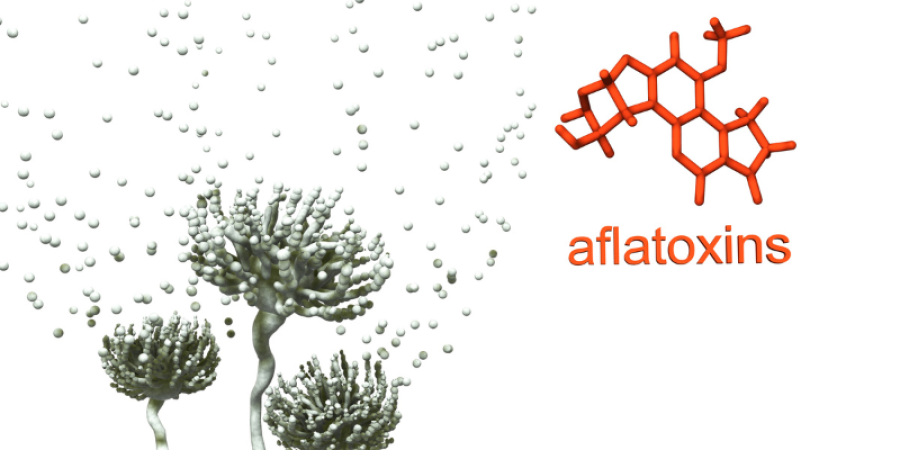 Aflatoxinas en frutos secos, granos y cereales