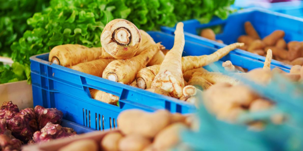 Agricultura Orgánica, requisitos de producción y comercialización a los principales mercados