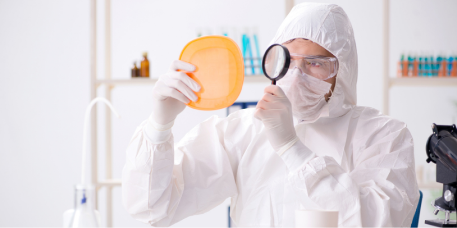 Presencia de bisfenol A en empaques de uso alimenticio