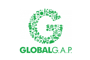 Tecnosoluciones Asociación Colombiana de Ciencia y Tecnología de Alimentos