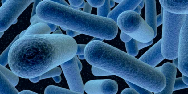 Listeria en la industria alimentaria