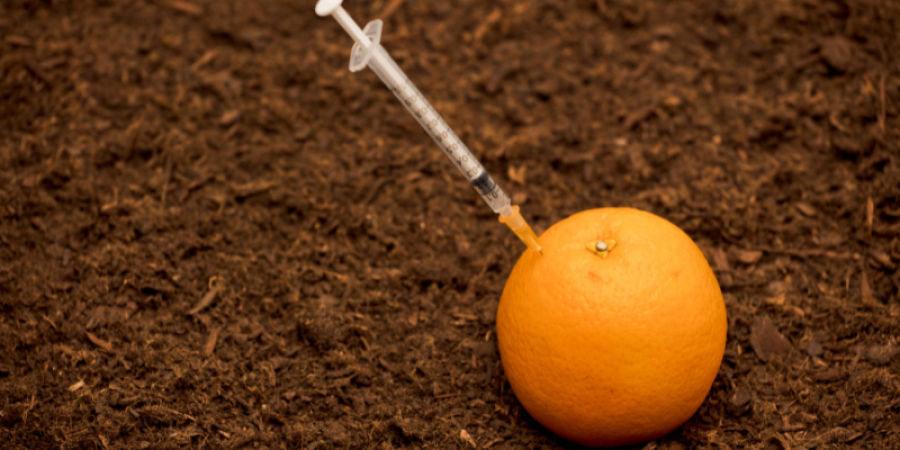 ¿Qué son los alimentos transgénicos?