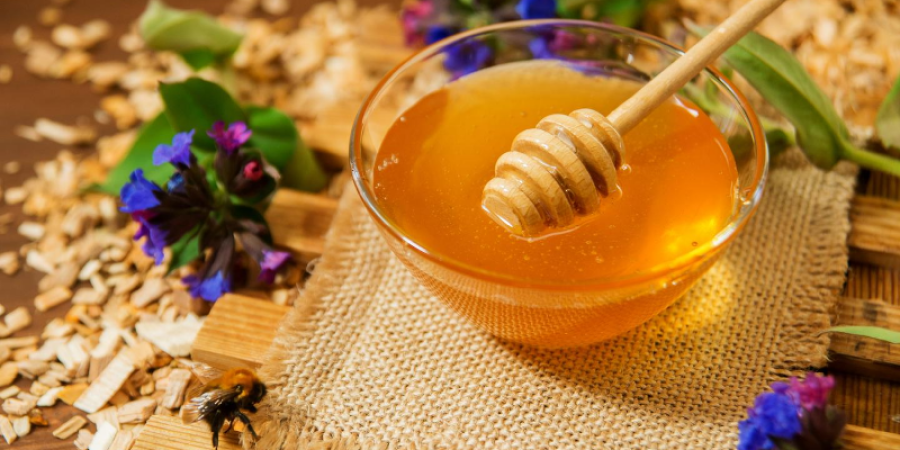 La miel de abeja importancia económica y nutricional