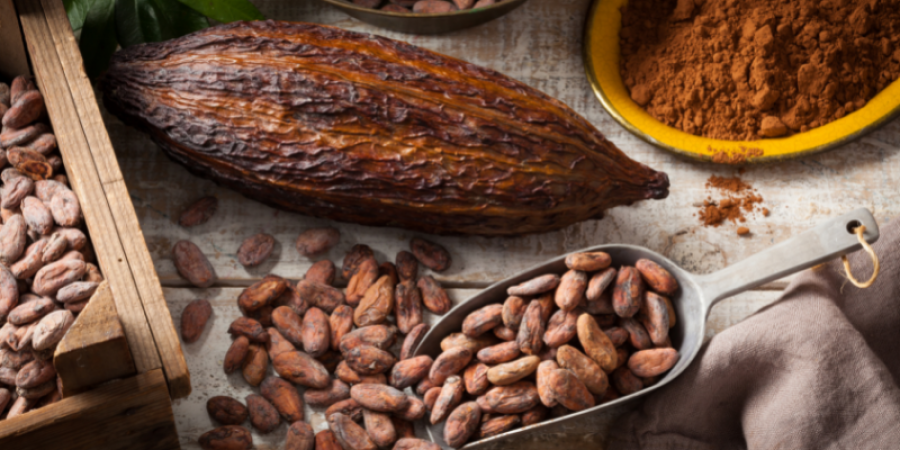 Cadmio en cacao