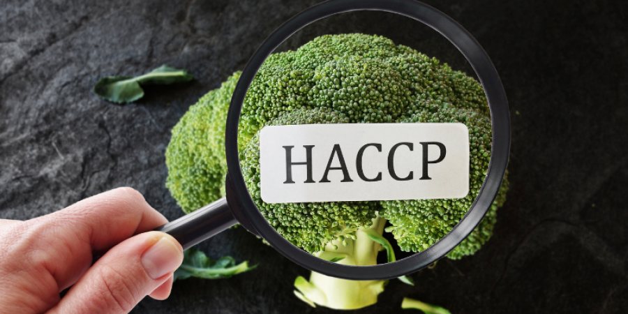 ¿Como le apoyamos en su HACCP ?