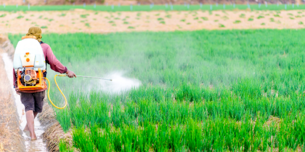 El rol de los pesticidas en la producción de frutas y vegetales
