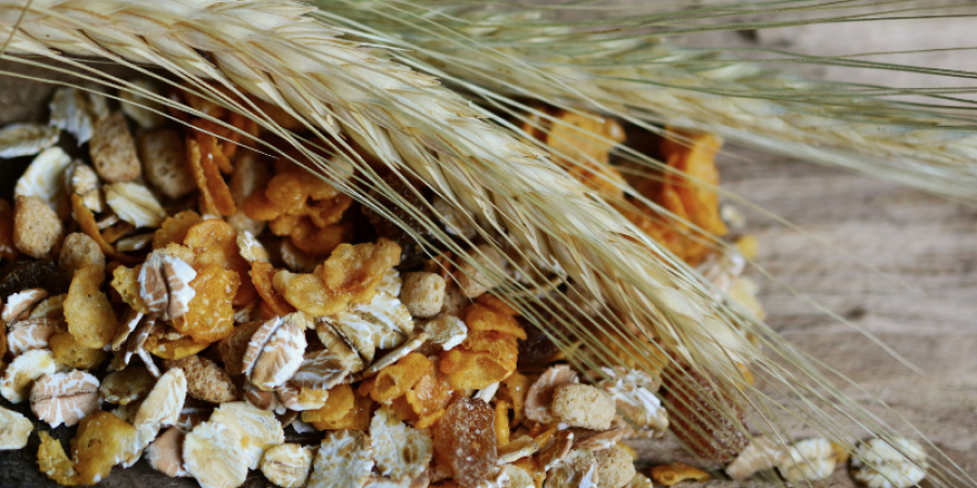 Métodos de Ensayo de Prolaminas en Cereales: La Clave para la Identificación de Gluten