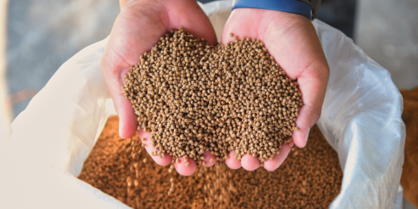 El pienso es clave para cumplir con los niveles máximos de PFAS en los alimentos de origen animal