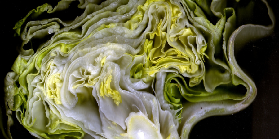 Ensayos de vida de anaquel en alimentos