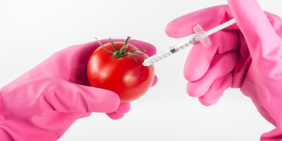 Detección de Organismos Genéticamente Modificados (OGM) autorizados/no autorizados