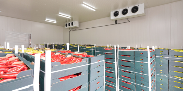 Pruebas de vida útil en alimentos