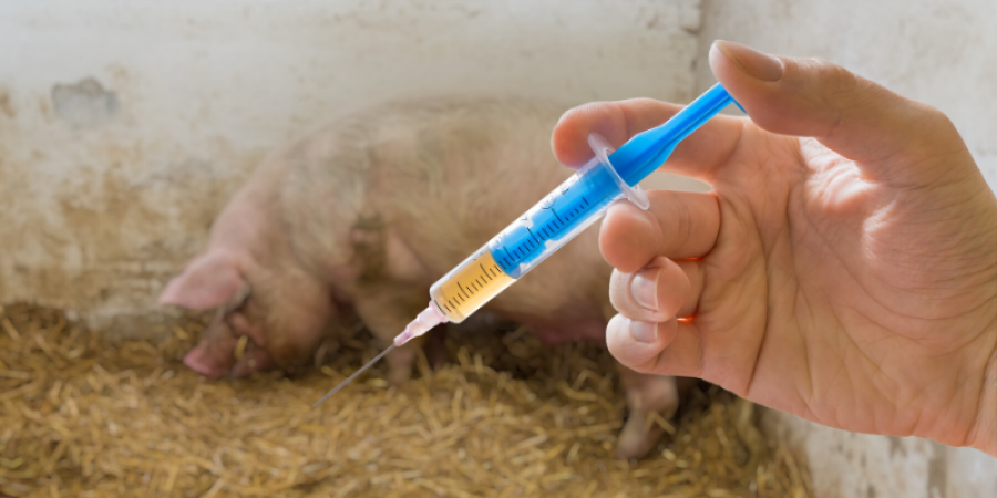 Uso de Antibióticos como Promotores del Crecimiento en Animales