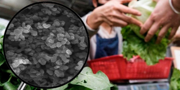 Contaminantes de metales pesados en alimentos