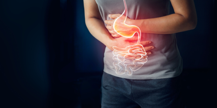 Angiostrongylus costaricensis y su relación con los alimentos