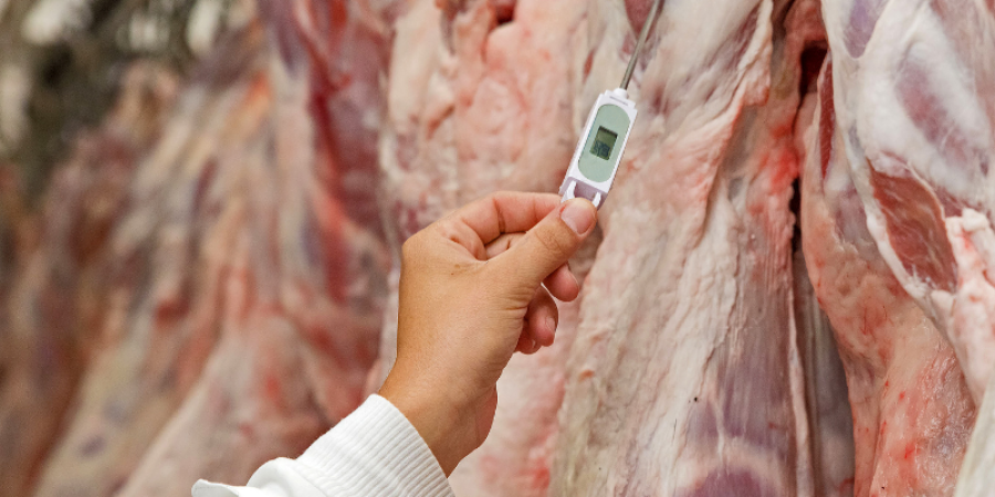 Establecimientos TIF en México: Un pilar para la calidad agroalimentaria