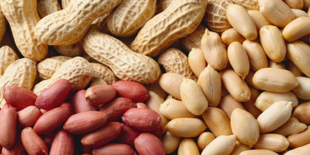 El valor oculto del maní: Análisis y aprovechamiento integral para una industria más sostenible