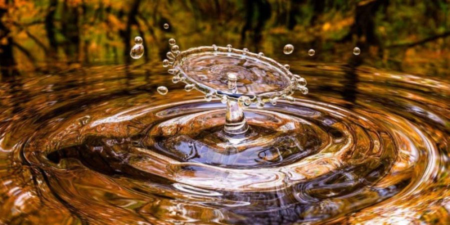 Contaminación de metales pesados en aguas: potencial tóxico para su salud y el medio ambiente.