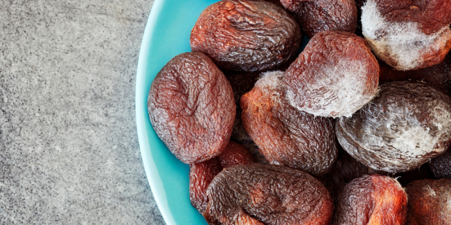 Micotoxinas en Alimentos y piensos