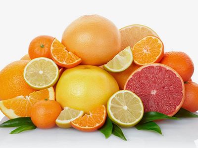 Prevención de HLB para cítricos