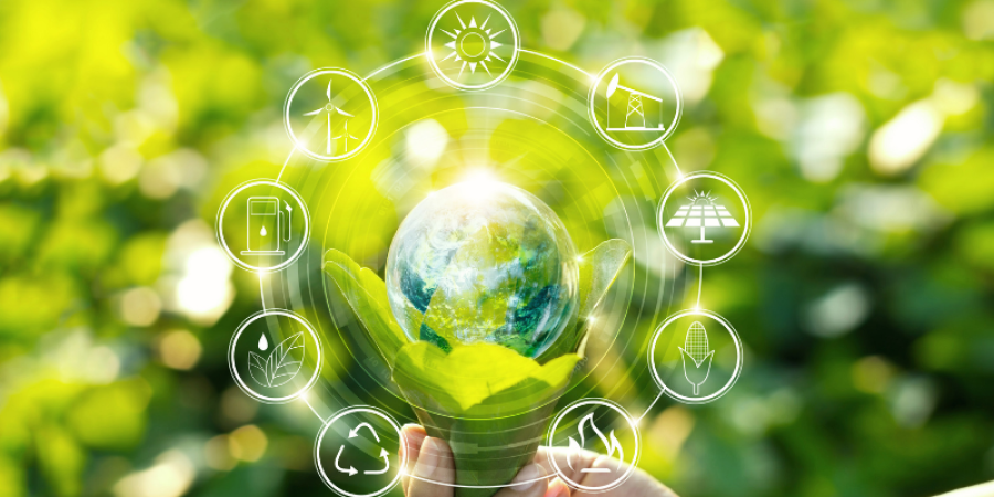 ¿Conoces las normas de la Unión Europea (UE) sobre producción ecológica?