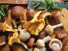 Alternativas a las proteínas de origen animal: Hongos Comestibles
