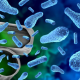 Clostridium botulinum: ¿Puede afectar a los productos pesqueros?