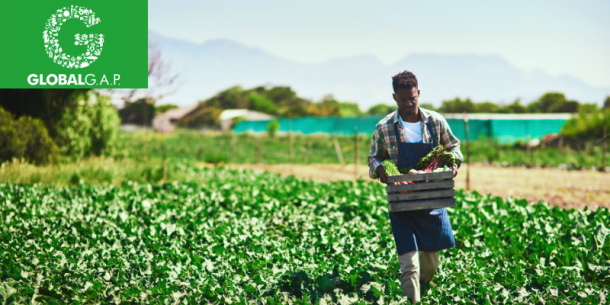 Importancia de la Certificación GLOBALG.A.P.