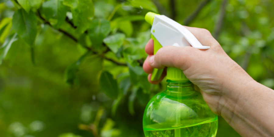 Huella Isotópica en Fertilizantes Ecológicos