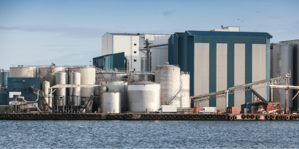 Harina de Pescado: Perú lidera su producción mundial