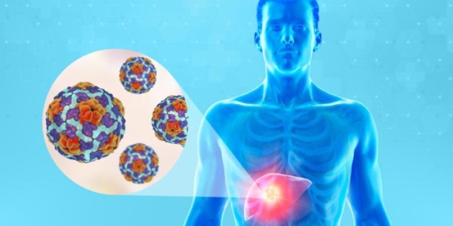 Brote de hepatitis A posiblemente relacionado con fresas orgánicas.