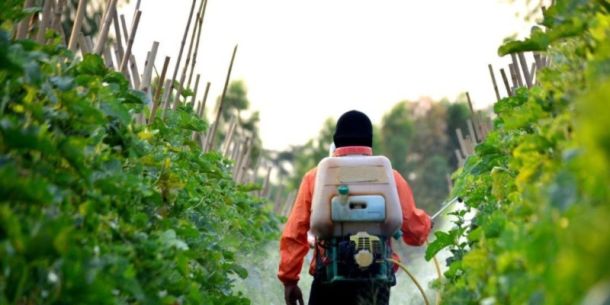 Contaminantes Orgánicos