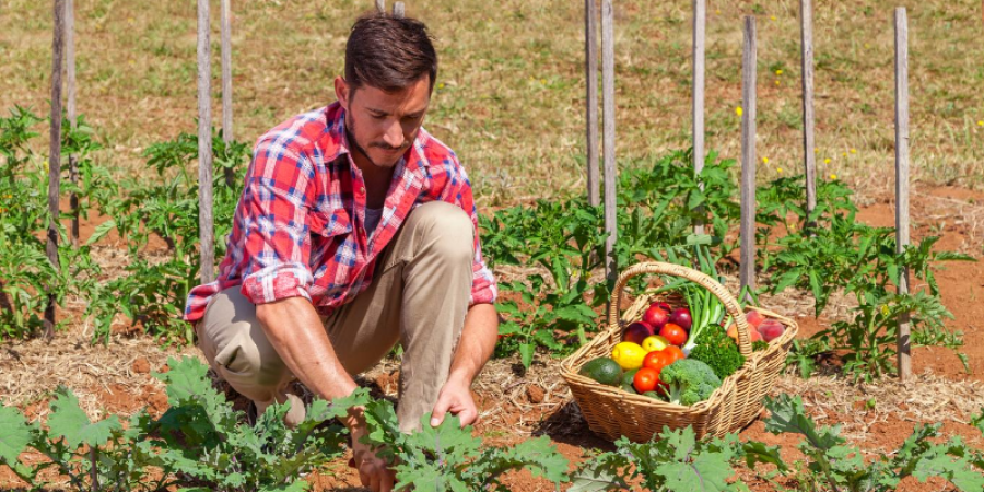 Agricultura Orgánica en México